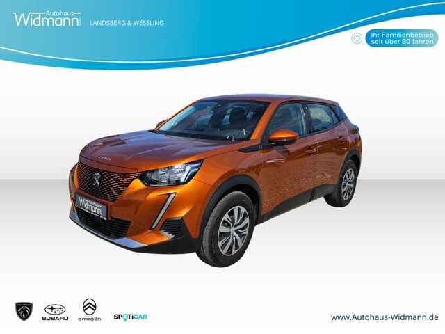 Details zum Fahrzeug: Peugeot 2008 Elektro Active - unreparierter Hagelschaden